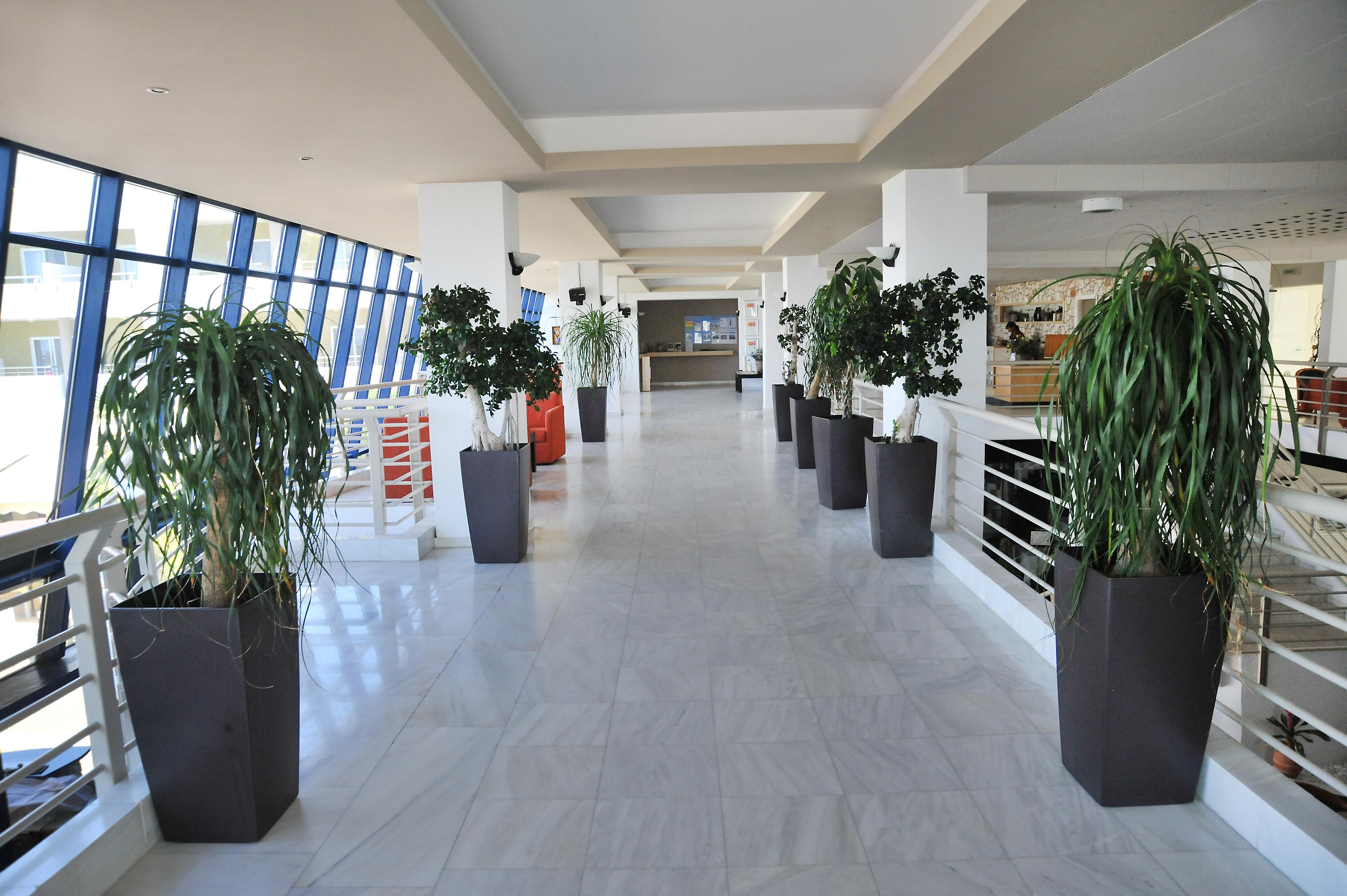 Kos Palace Tigaki Exterior foto